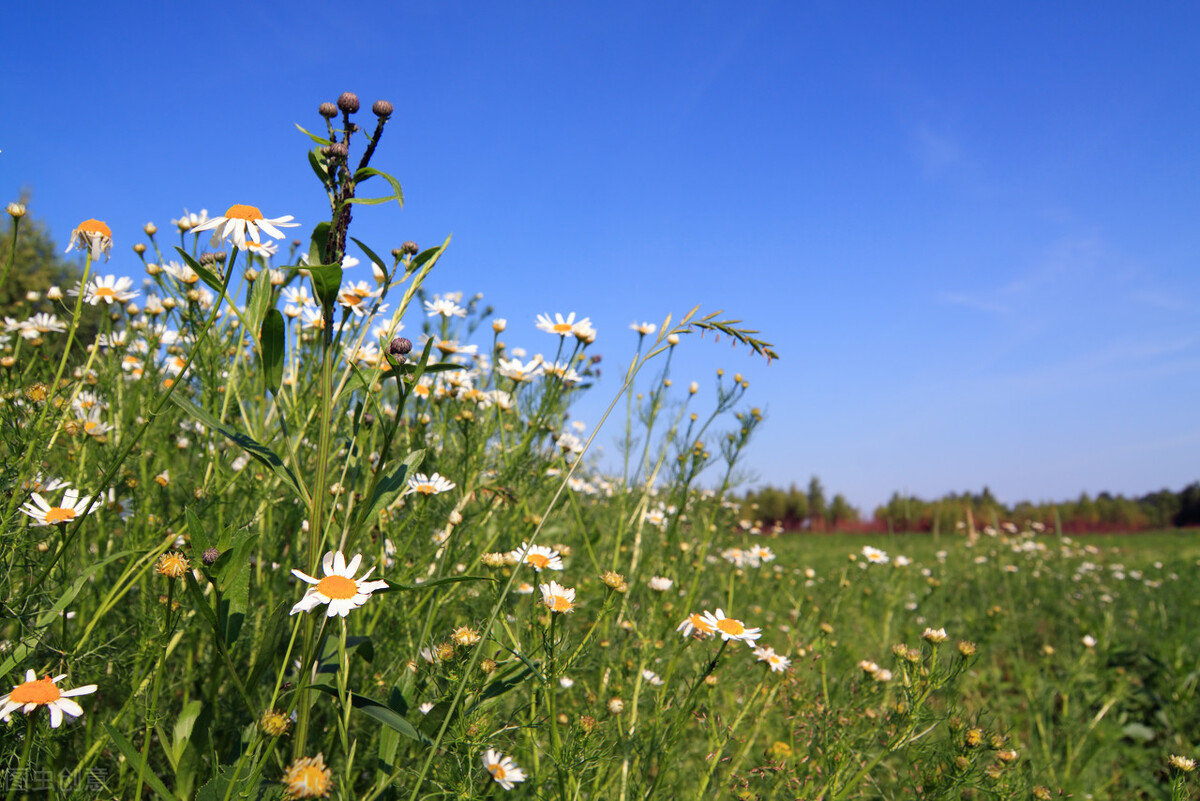40涓彉缇庡皬濡欐嫑,11宀佸彉缇庡皬濡欐嫑