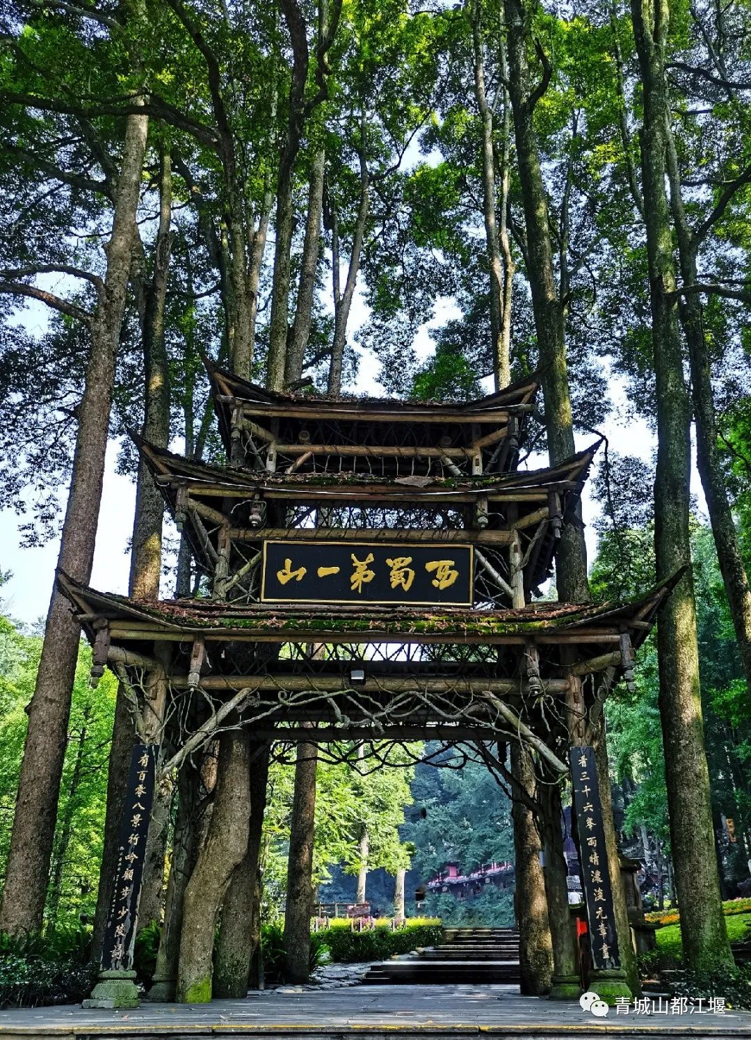 青城山森林秘境,青城山风光好去处