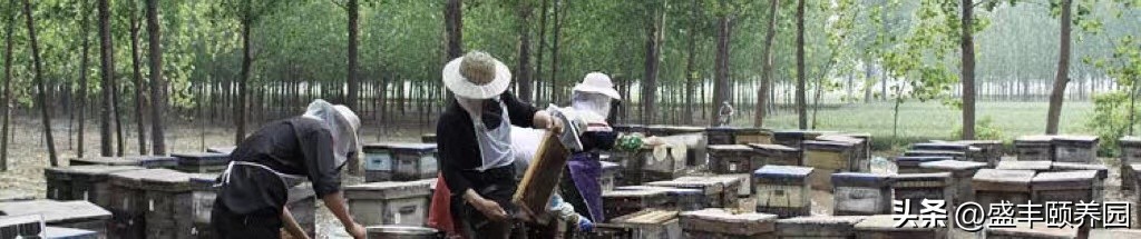 杭州铁笼沉湖案主犯老婆,杭州铁笼沉湖案今日说法