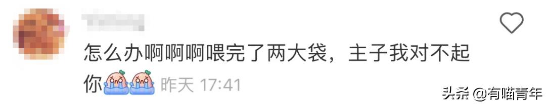 被央视曝光的猫粮,进口猫粮与国产猫粮能掺起来吃吗