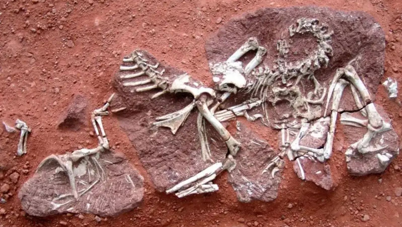 恐龙毁灭,恐龙灭绝时期有多可怕