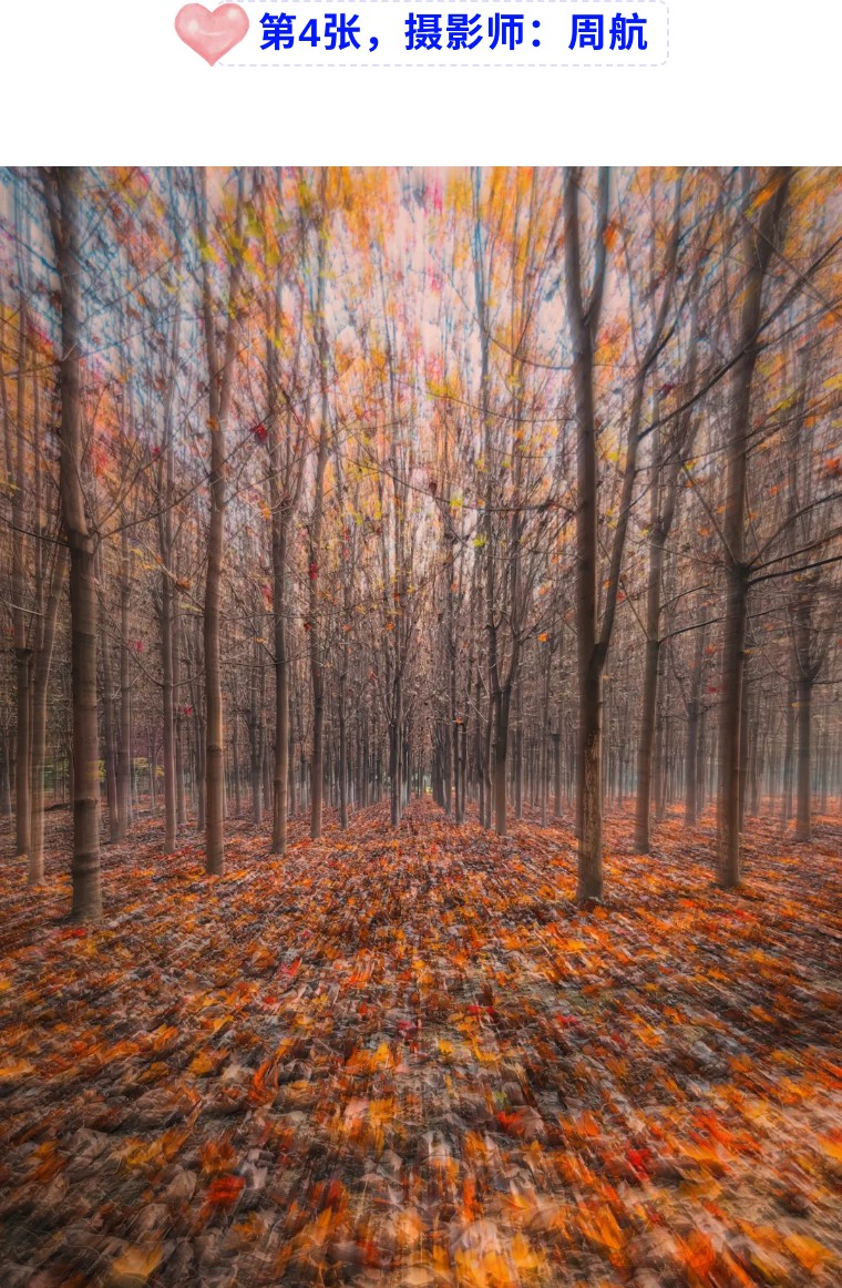 36个技巧助您手机拍大片,学会这7点轻松拍大片