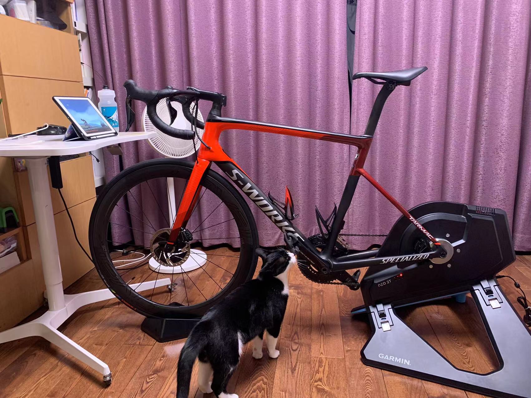 我本全能，超长续航—Garmin本能instinct2评测