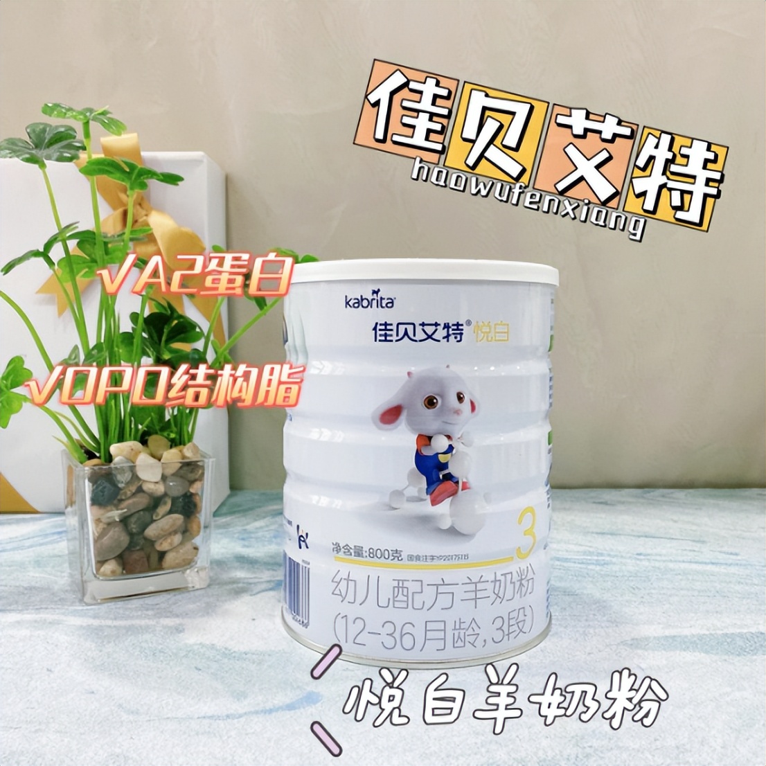 佳贝艾特羊奶中端,羊奶佳贝艾特中老年