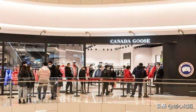 韭菜收割机，温州帮的前世今生