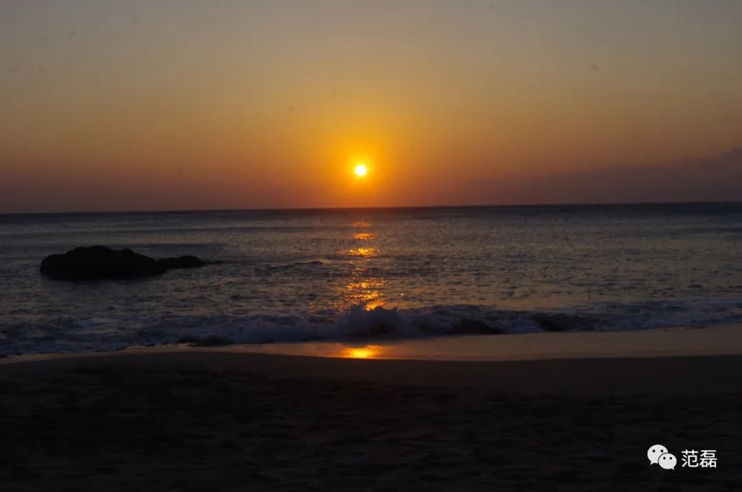 新手单反相机购买怎么不被坑,新手小白单反相机避坑