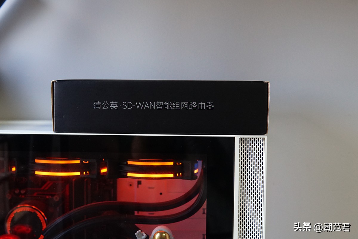 蒲公英x3智能组网 (蒲公英x3异地组网需要软件安装吗)