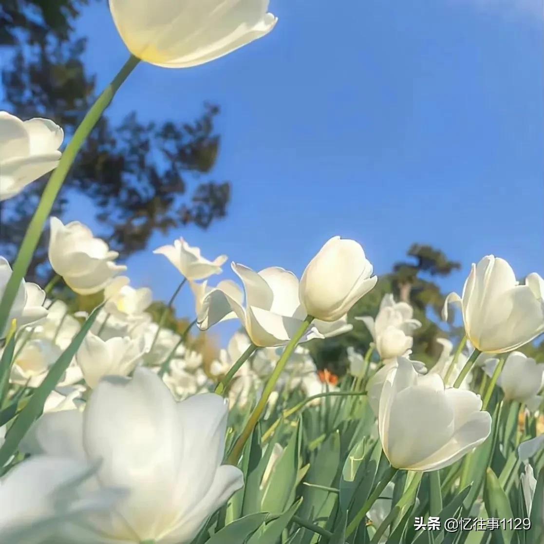 有效的关心男友的四个小技巧