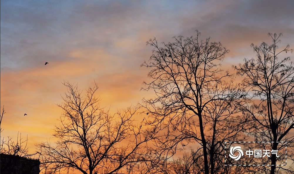 ps怎样去除图片上多余的文字,照片中的文字如何用ps去除掉