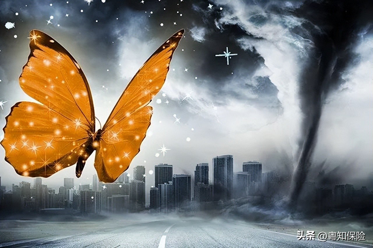 保险公司破产已购保单如何处理,保险公司破产保单纠纷