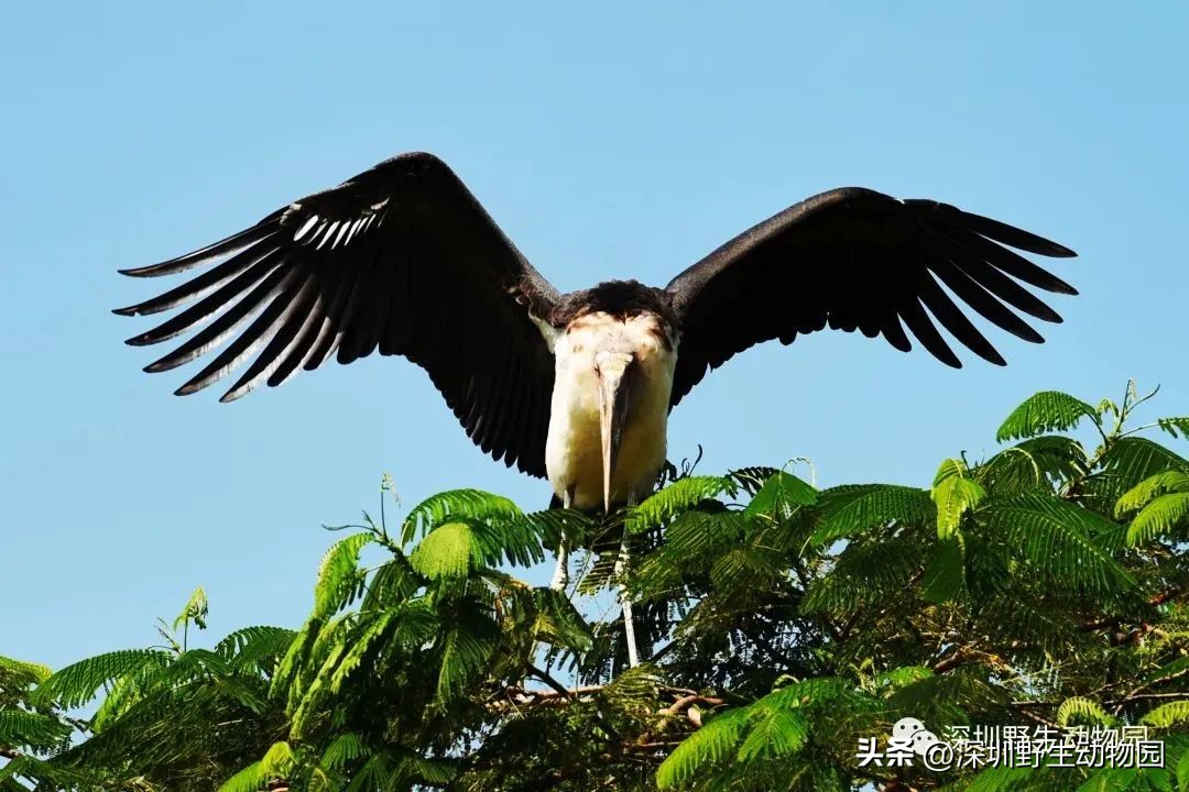 考完先别溜！优惠门票¥67.8，放松一“夏”！