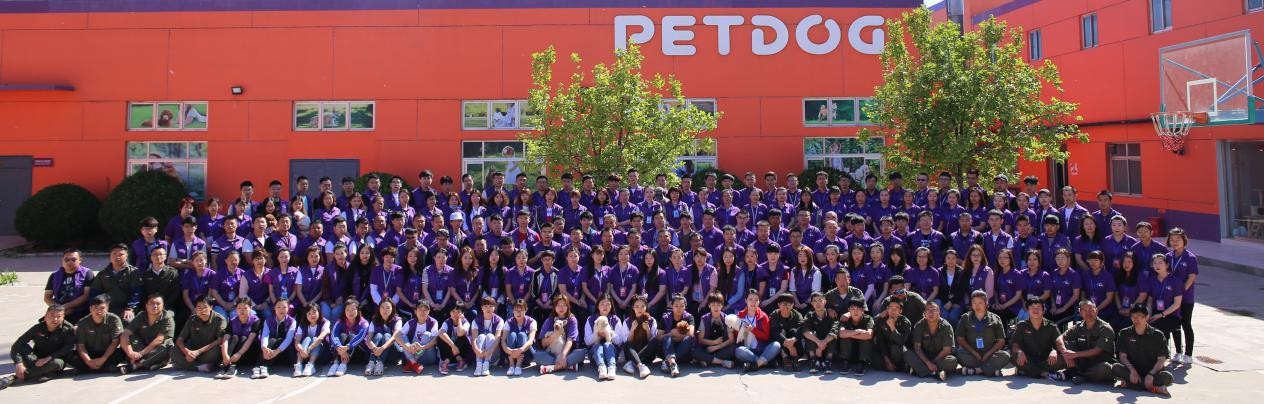 宠物行业人才招聘,派多格宠物店宠物