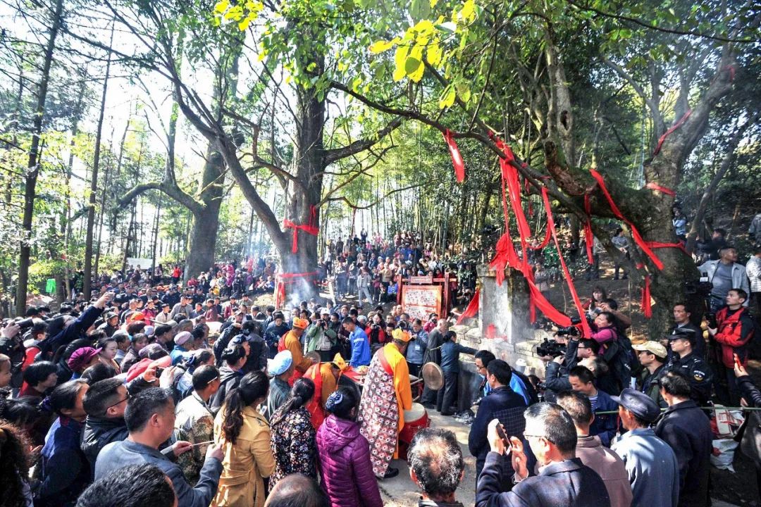 绿色狂想曲,绿色狂想曲三年级