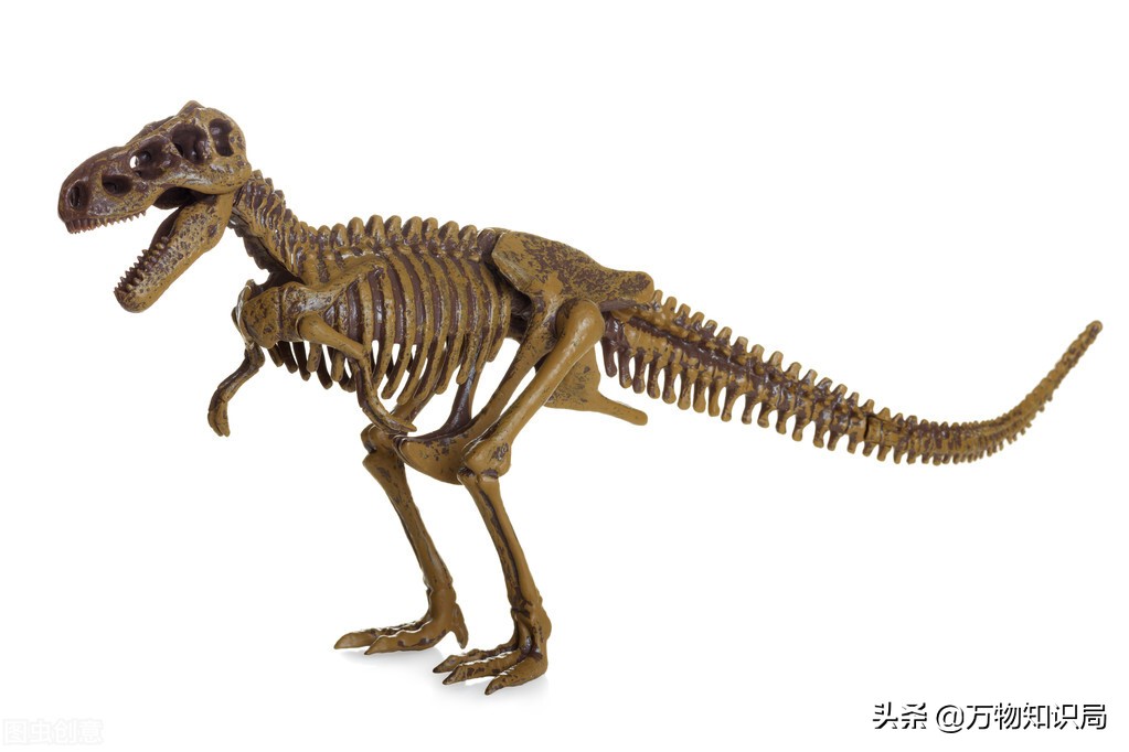 用鸡复活恐龙,用鸡的基因可以复活恐龙吗