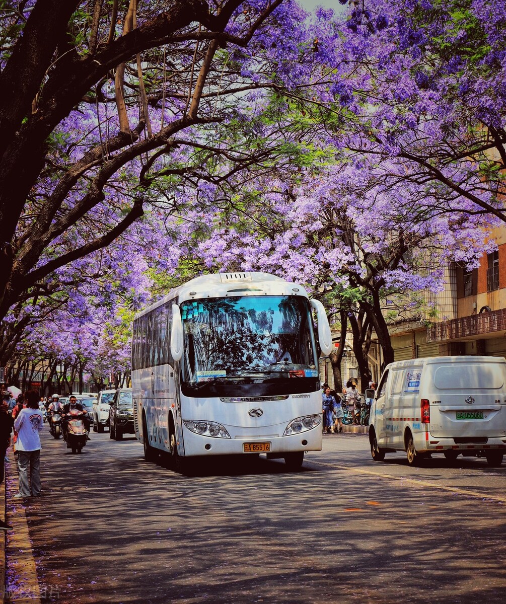 云南昆明春城游玩攻略,春城之约昆明旅游攻略