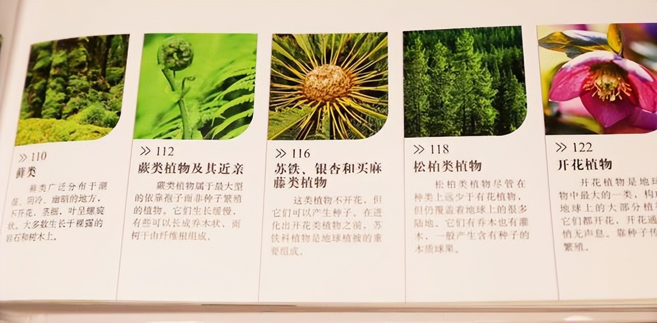 新东方直播间董宇辉录屏,新东方直播间董宇辉讲英语