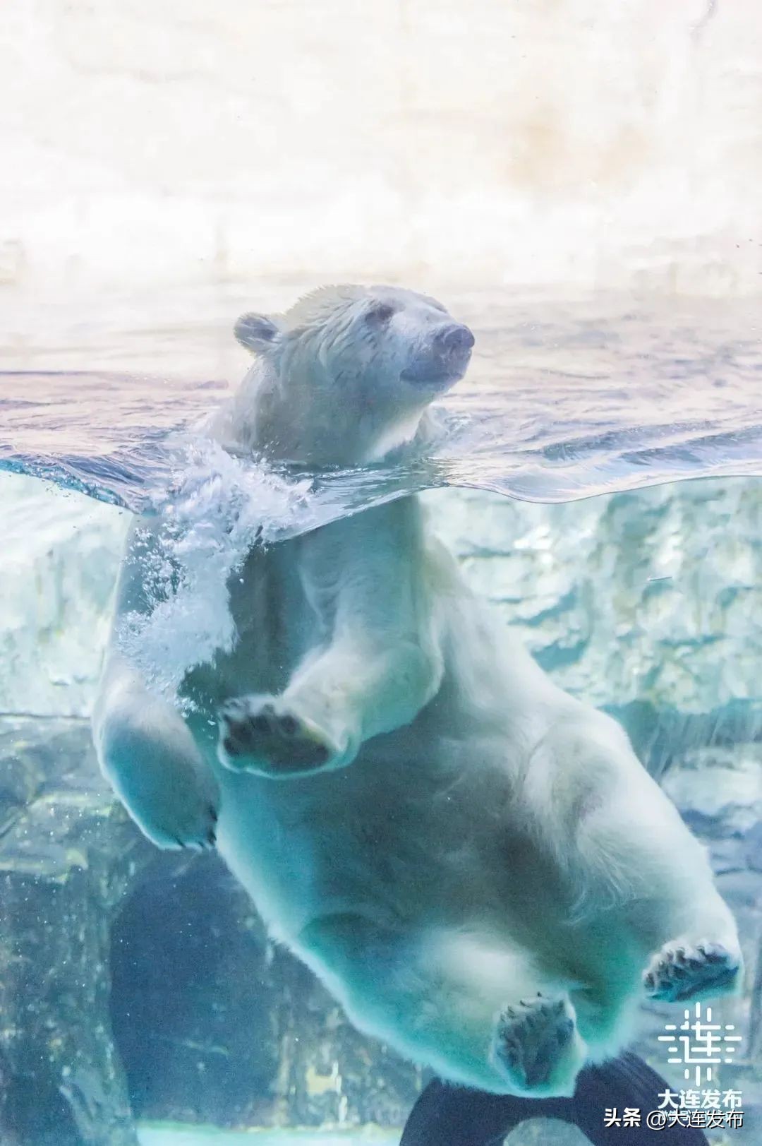 大连可以洗澡的海滩,大连既可以赶海又能洗海澡