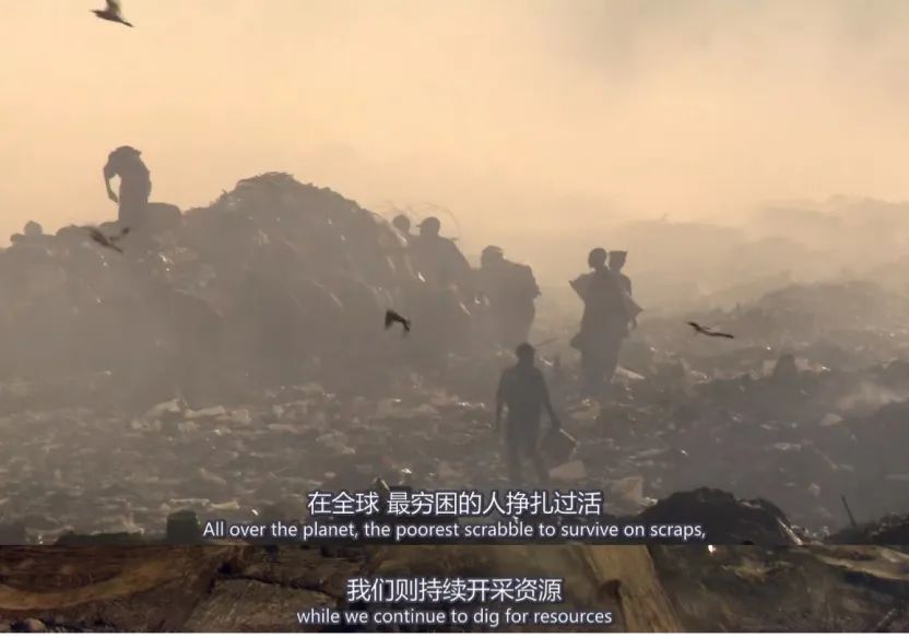 极端高温,灾难的开始…该如何拯救