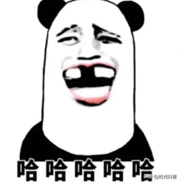 开心搞笑治愈的故事,搞笑治愈故事