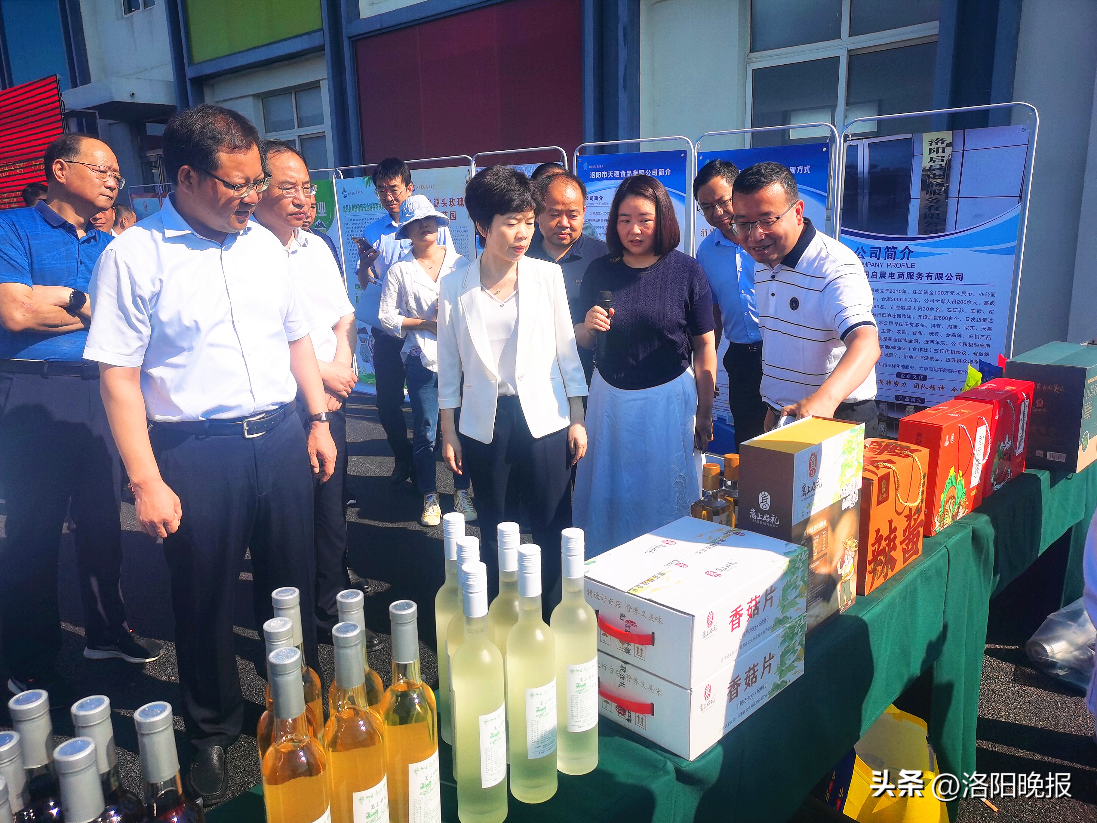 洛阳助推乡村振兴活动,洛阳促进乡村振兴项目