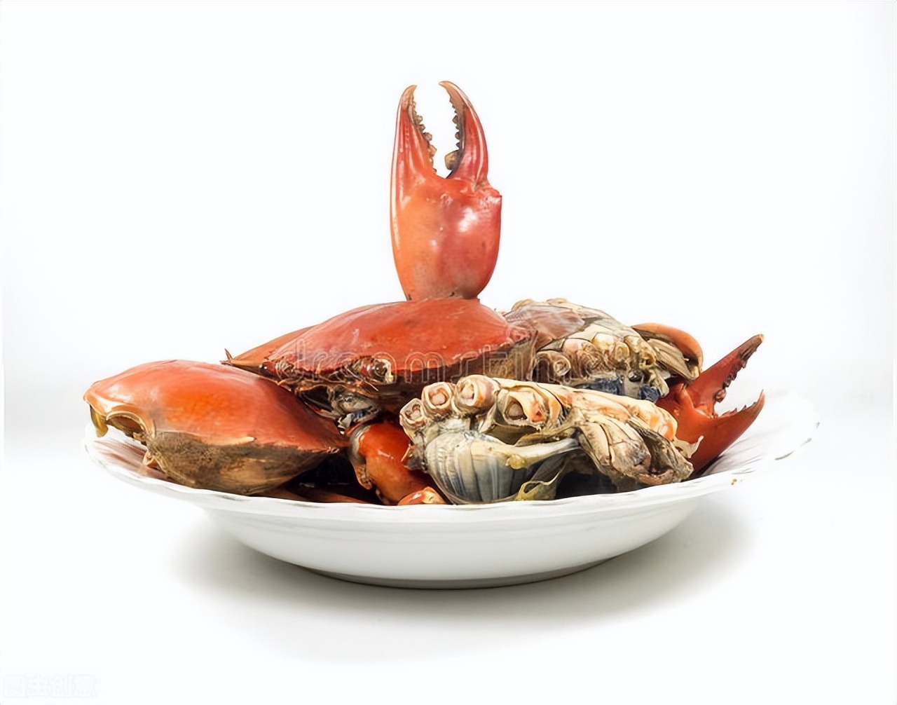 螃蟹放冰箱冷冻怎么做,螃蟹在冰箱里冷冻需要怎么做