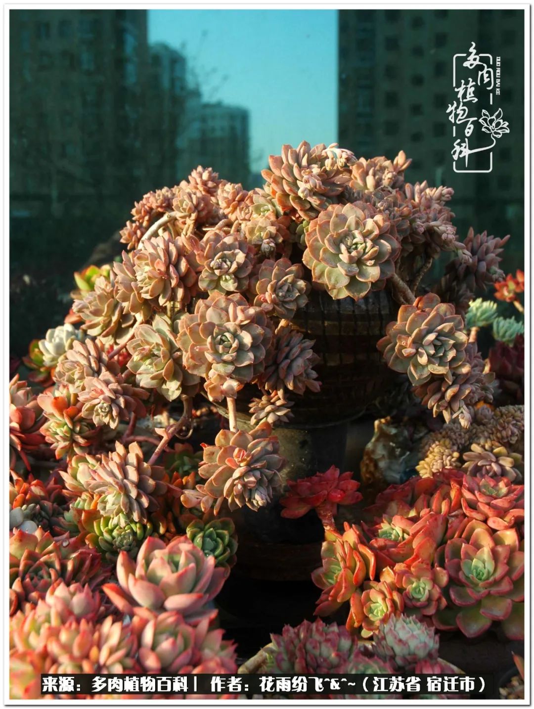 快乐的童年时光视频,回味快乐的童年美好的时光