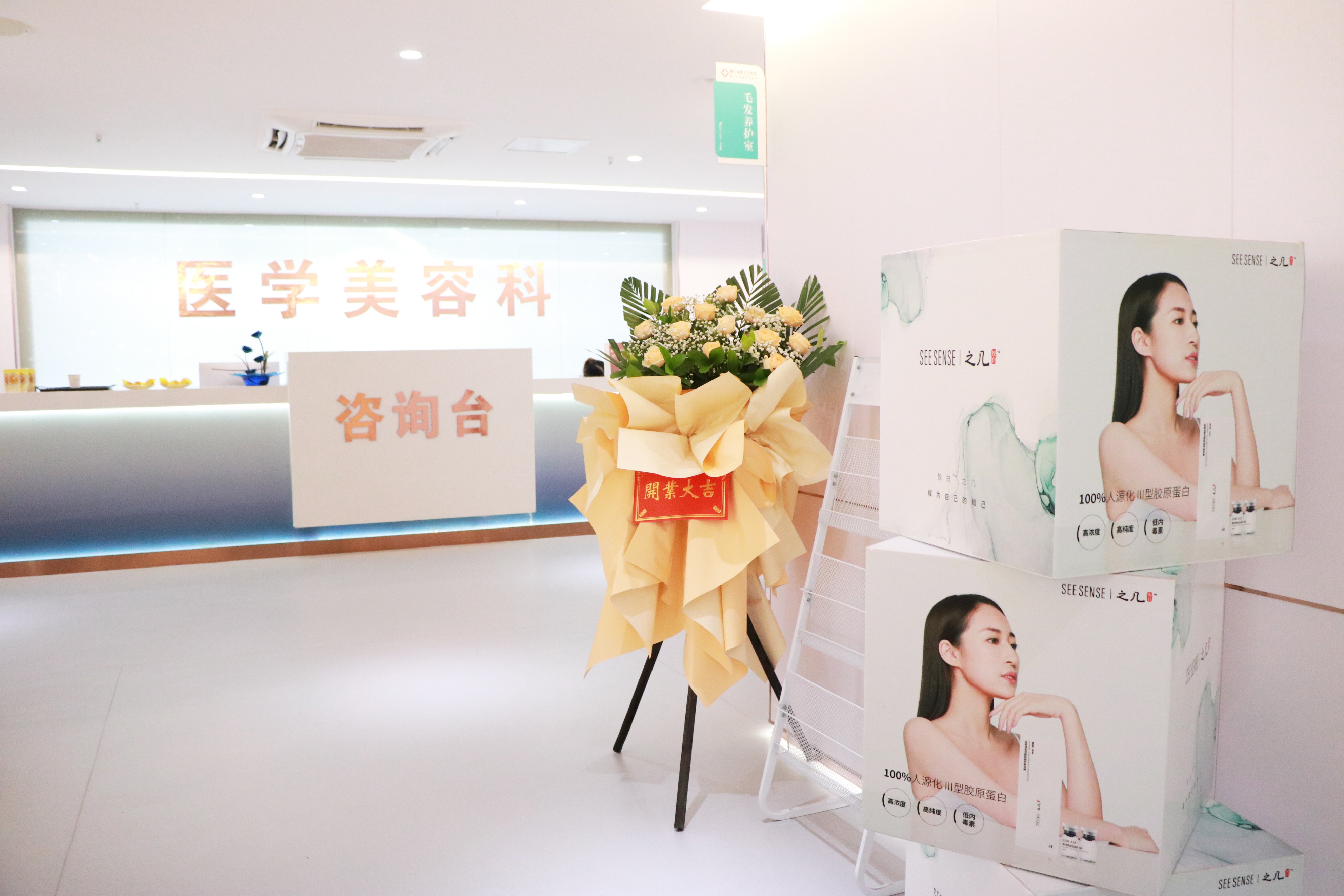 盛大启航,盛大起航