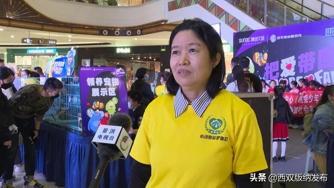 把爱带回家丨让领养代替购买，给它们一个温暖的家