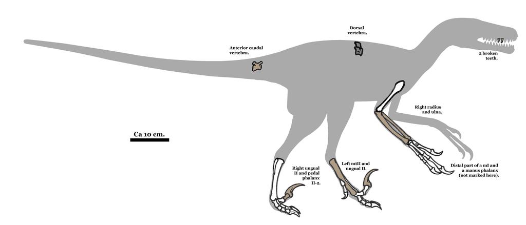 侏罗纪恐龙3,侏罗纪世界3里的恐龙讲解