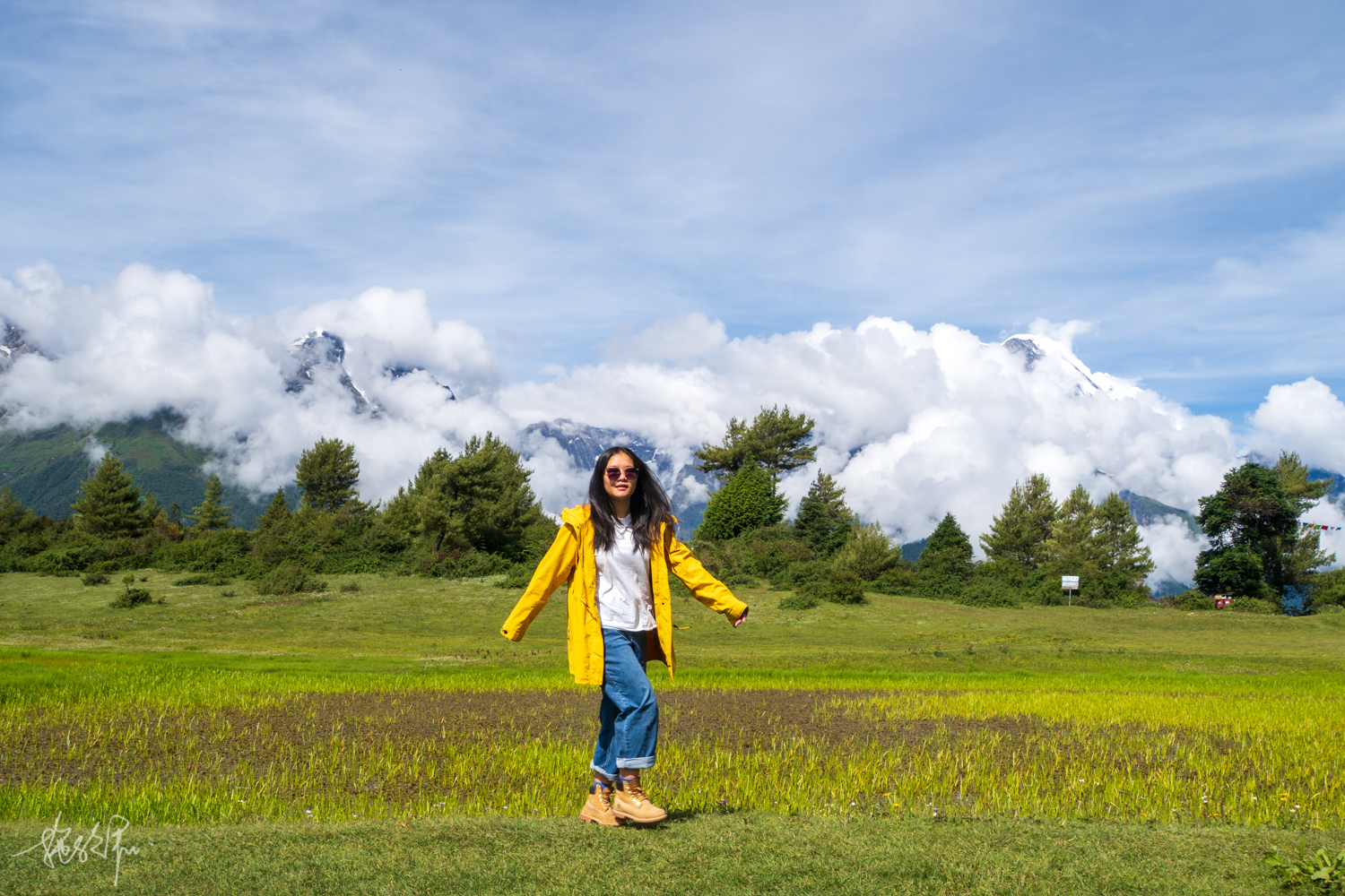 我的2022年度报告,我的2022原版