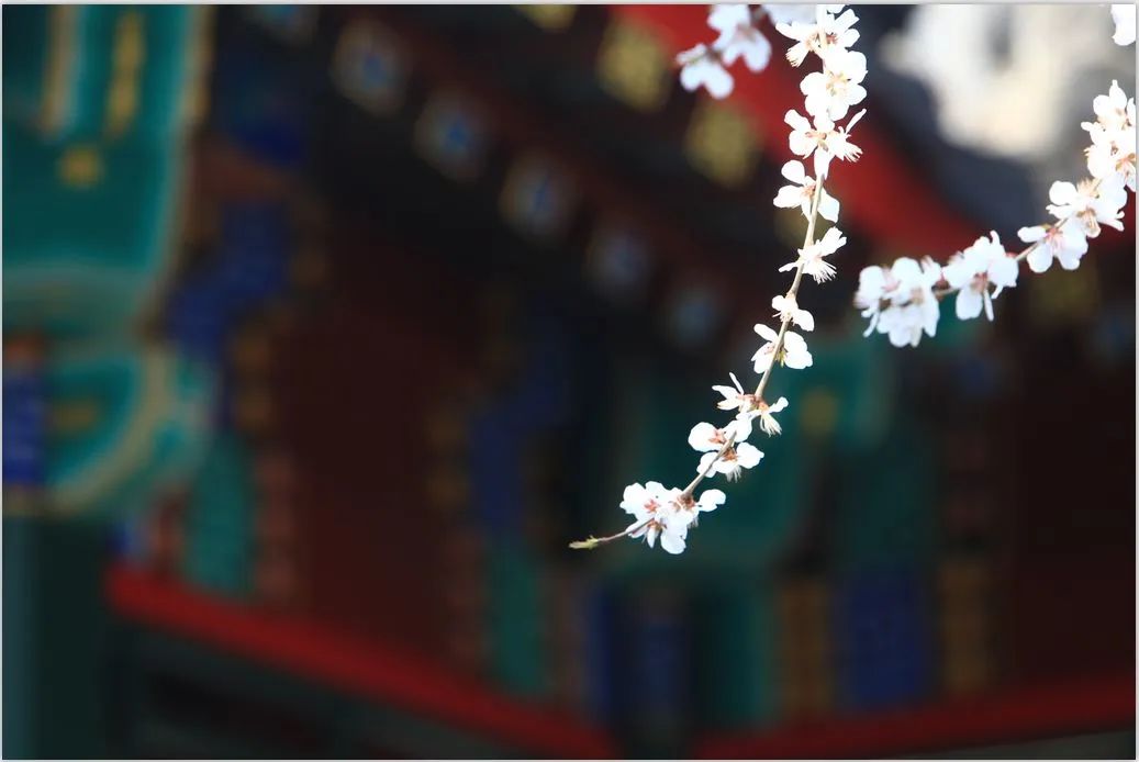 小众公园北京,北京欧式小众公园