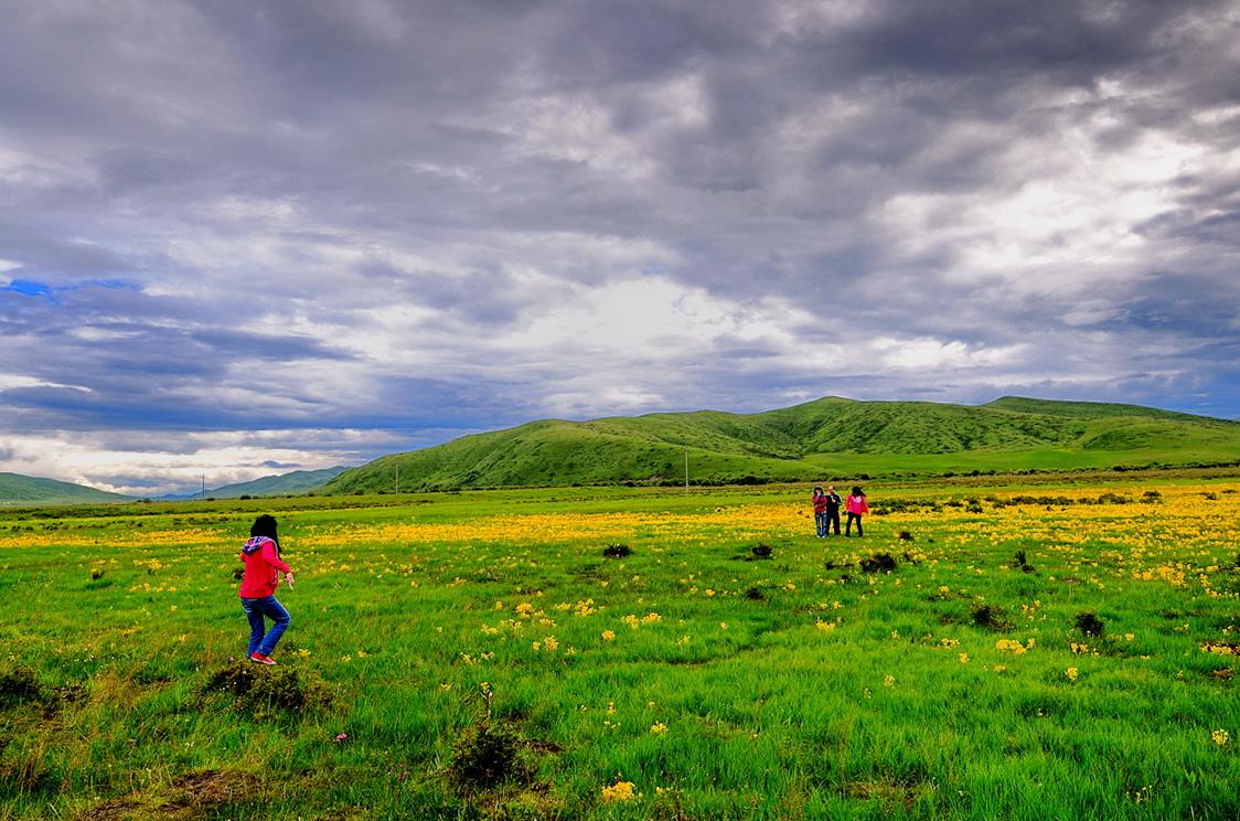 旅游风景若尔盖,旅游景点推荐自驾游四川红原攻略