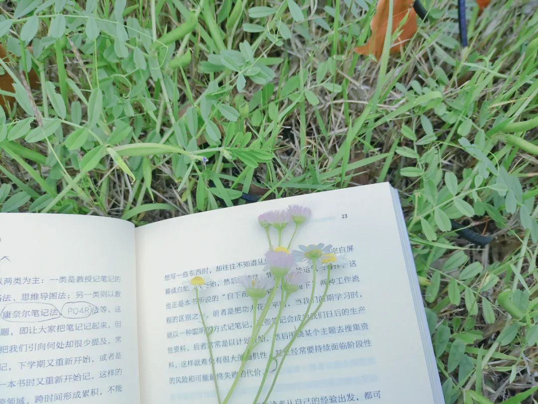 下班后手机副业,有条后路有份副业真的很重要