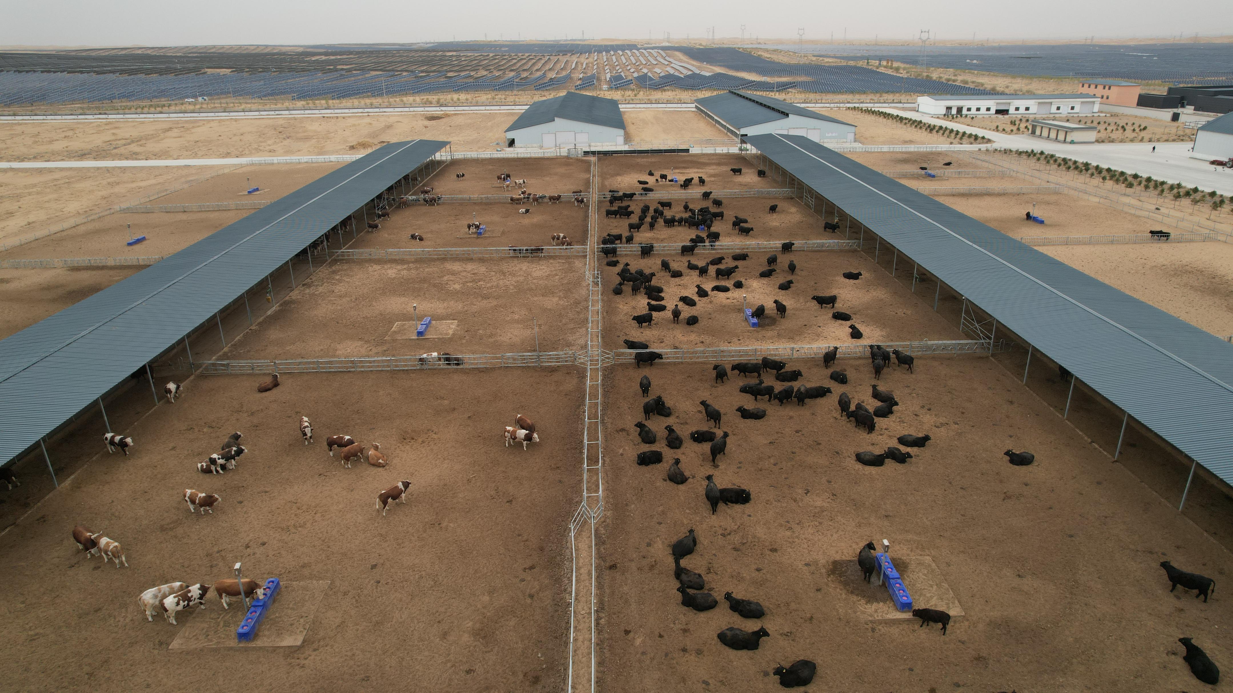 推动落实五大任务,推动五项管理落地见效