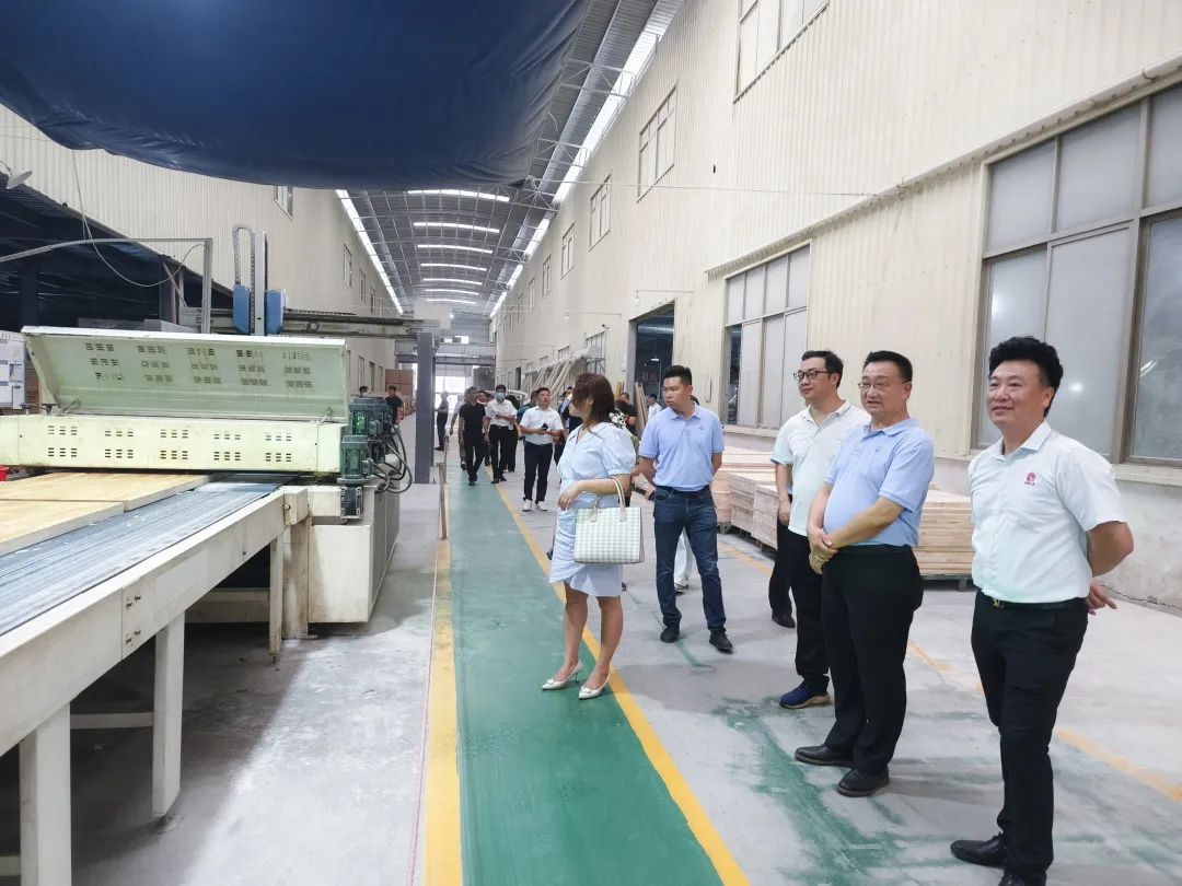 广东门业协会整木定制专委会,广东省门窗协会采访