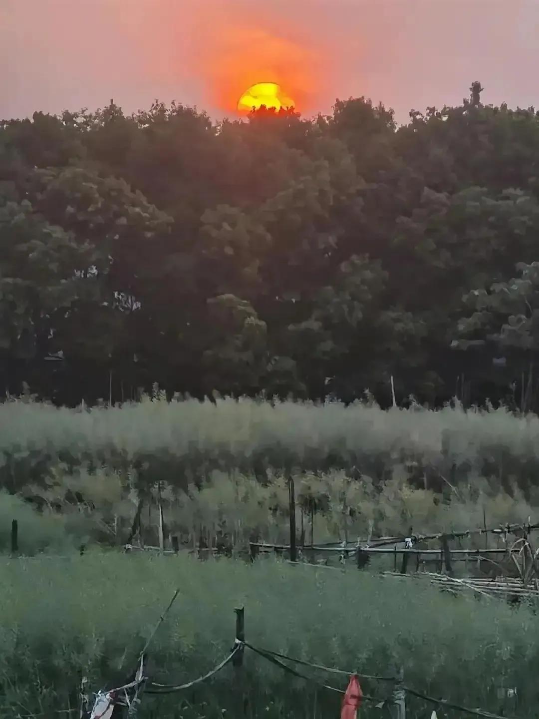 项目创业计划书,创业计划书格式