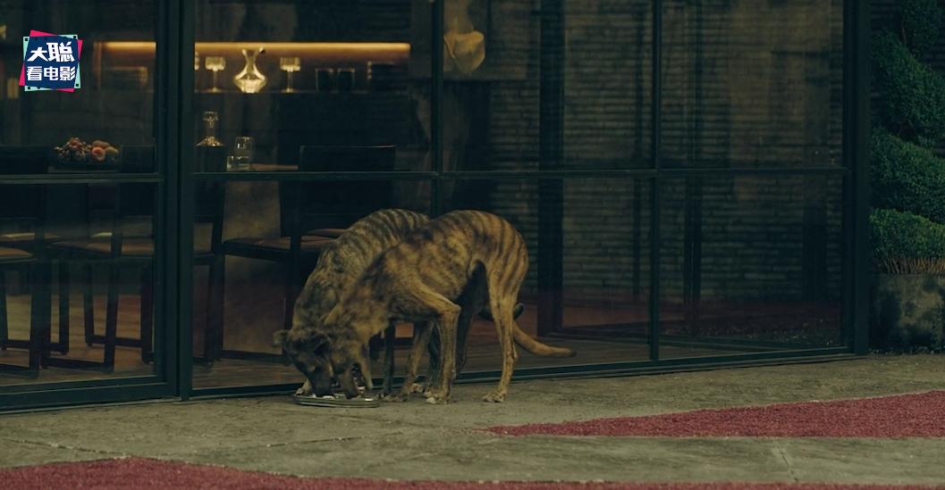 边缘世界第8集深度解析,边缘世界第二季解析