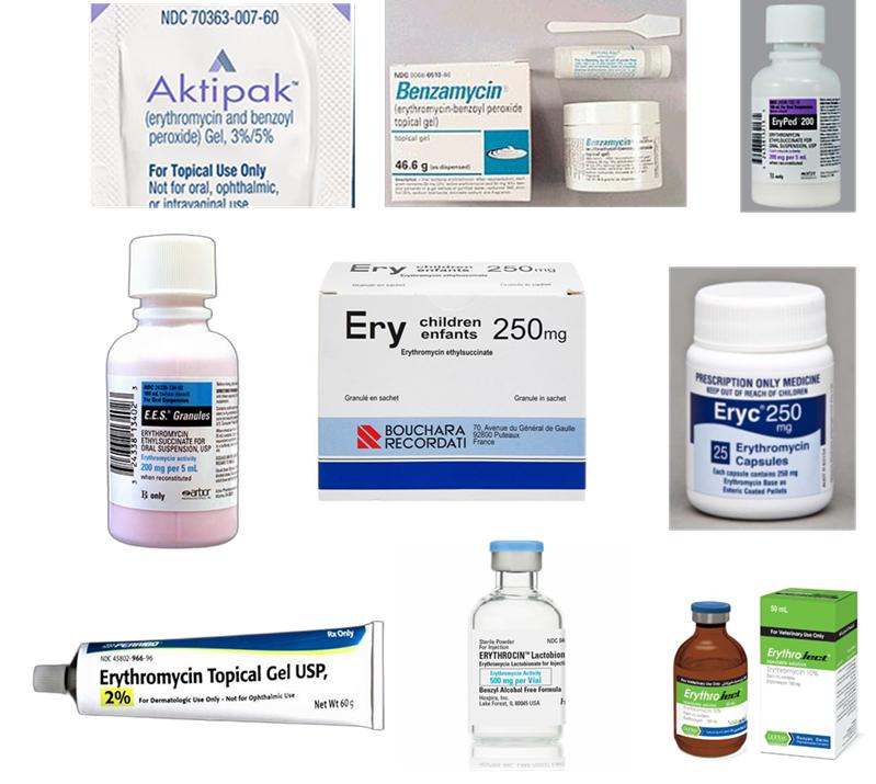 大环内酯（Macrolides）类抗生素药物综述