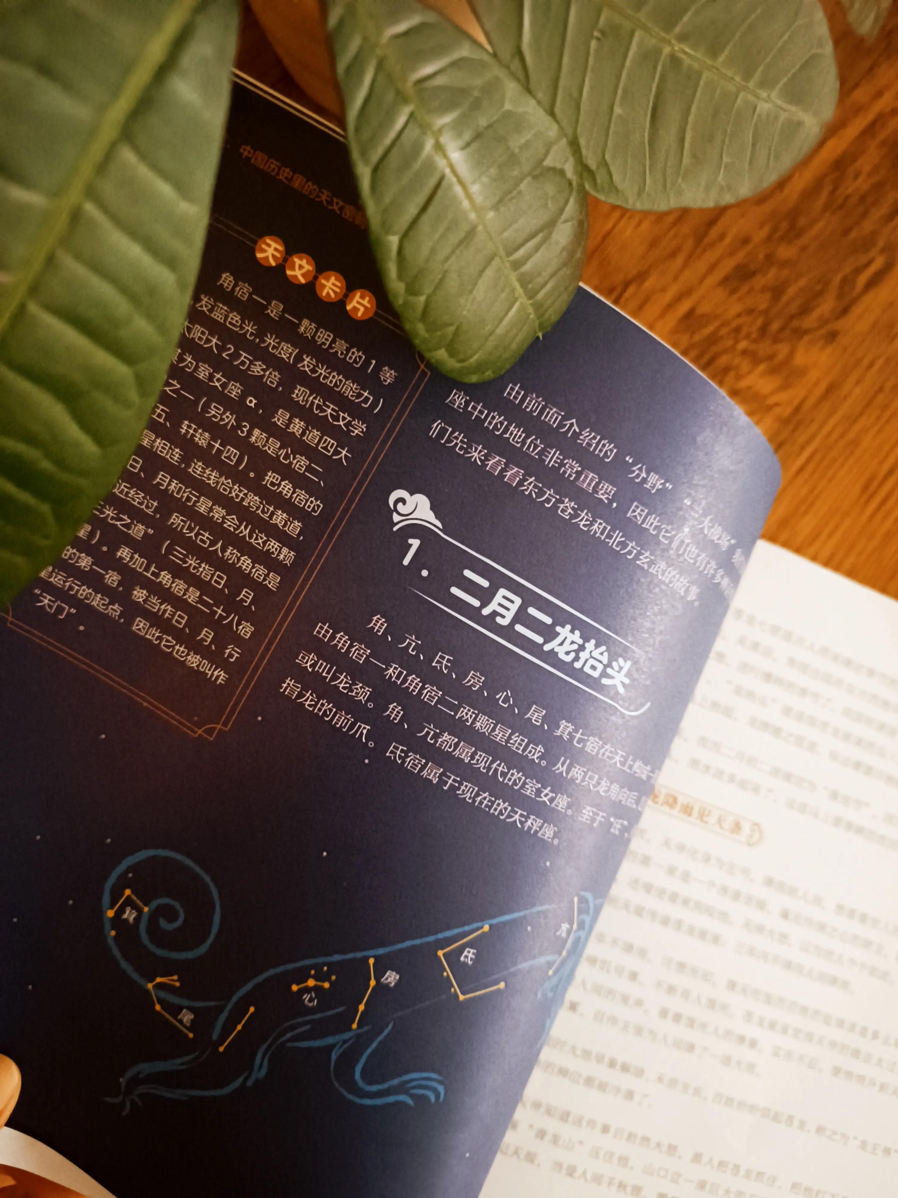 关于星座的天文知识,有关于星座的天文知识