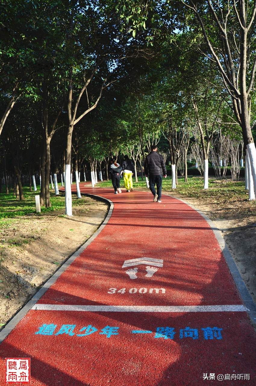 7月郑州凉快遛娃公园排行榜,郑州龙子湖避暑遛娃的地方