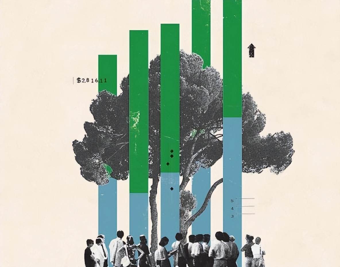 非营利组织与社会治理,非营利组织社会发展中的作用