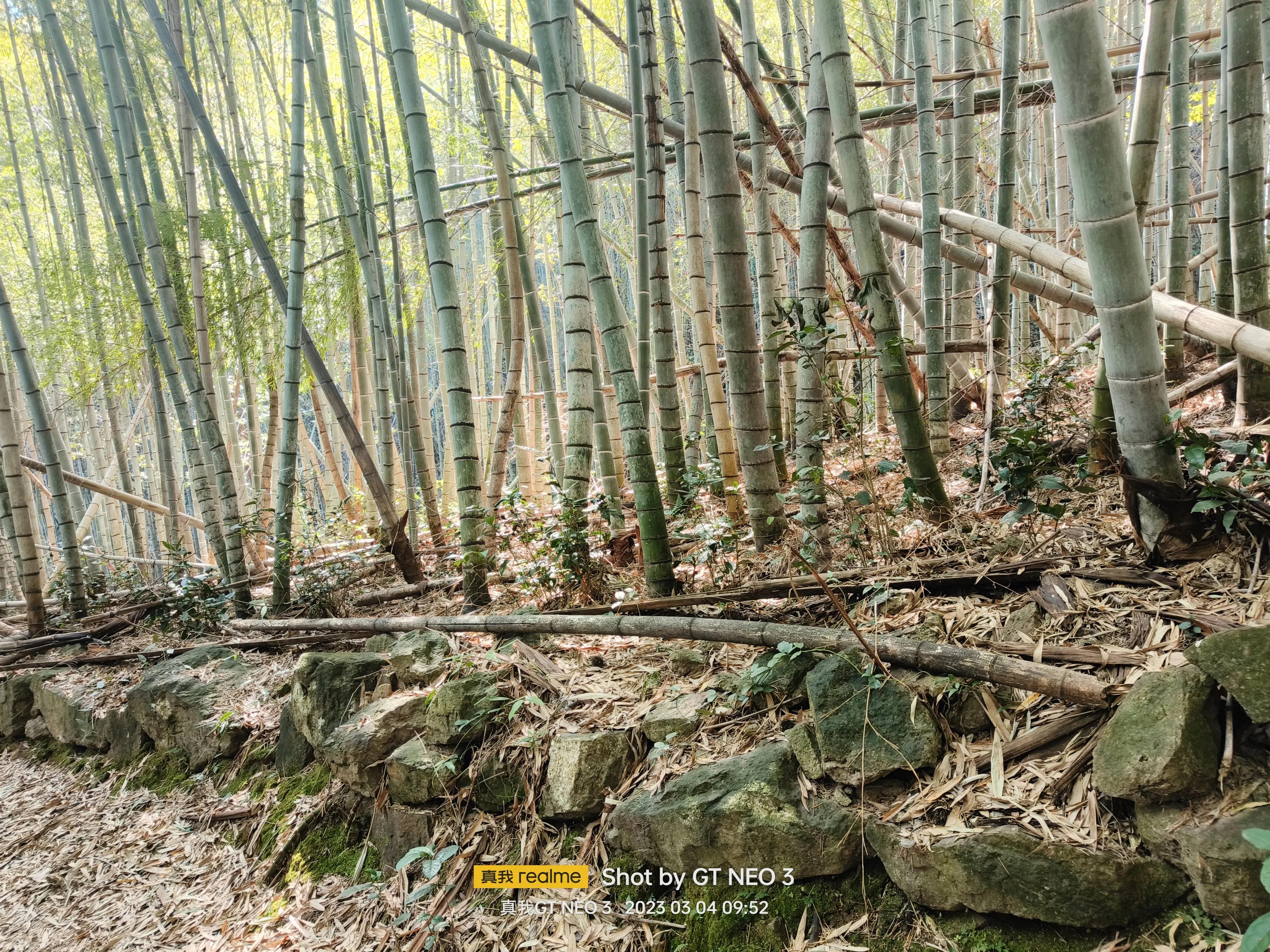 宁波五龙潭攻略,宁波五龙潭湖