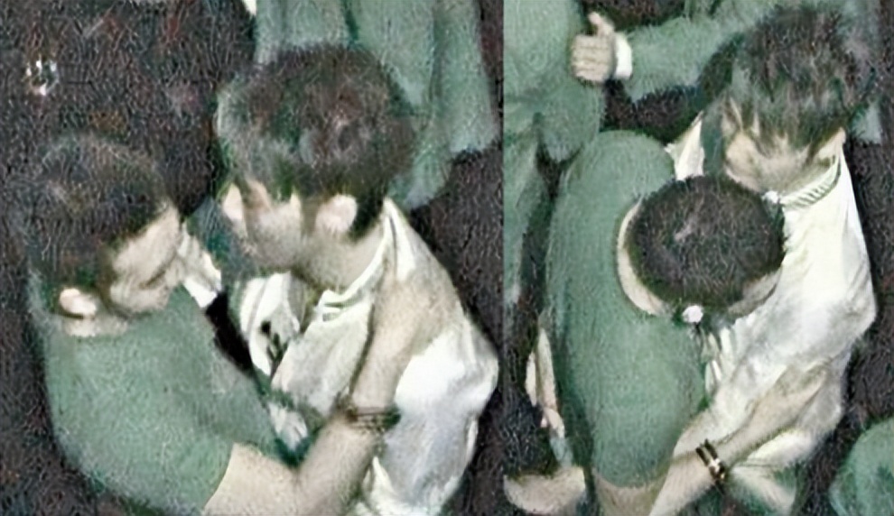 王华湘遗产争夺案,王华湘家族