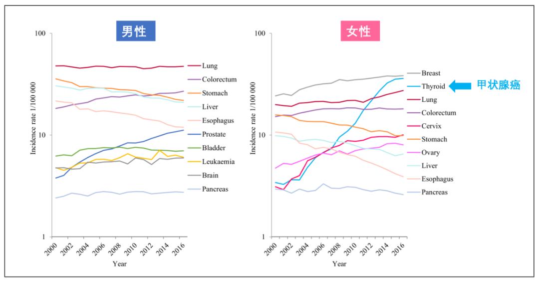 中国癌症报告2020,中国最新癌症数据发布