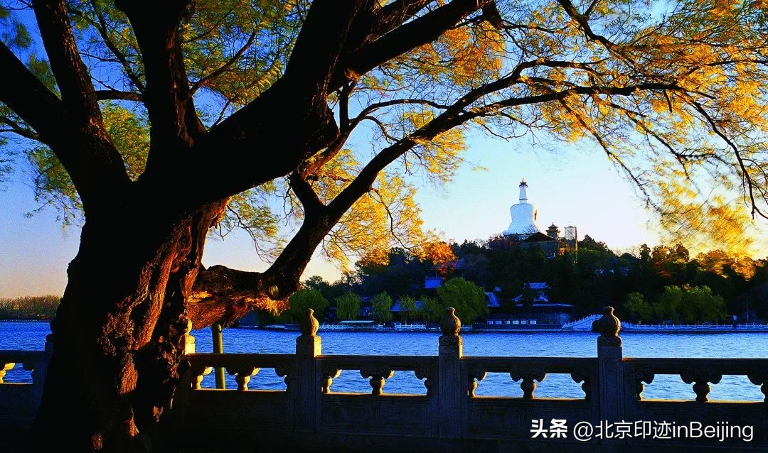 北京的秋朗读,北京的秋的夜晚