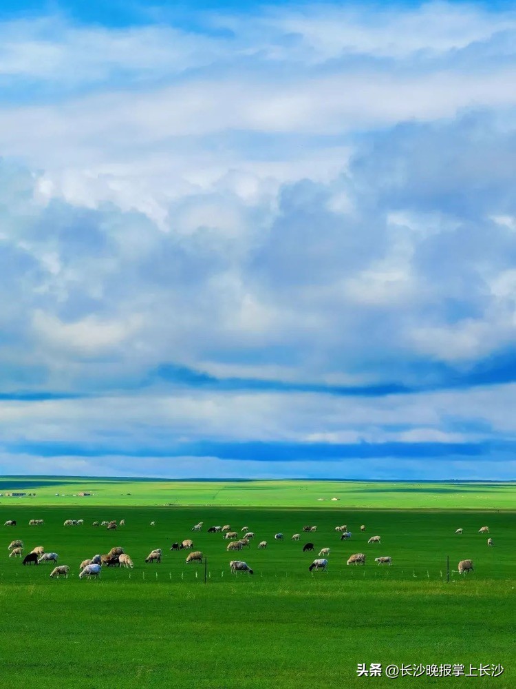 俄罗斯旅游团七日游价格专列,途牛俄罗斯旅游专列十五日游
