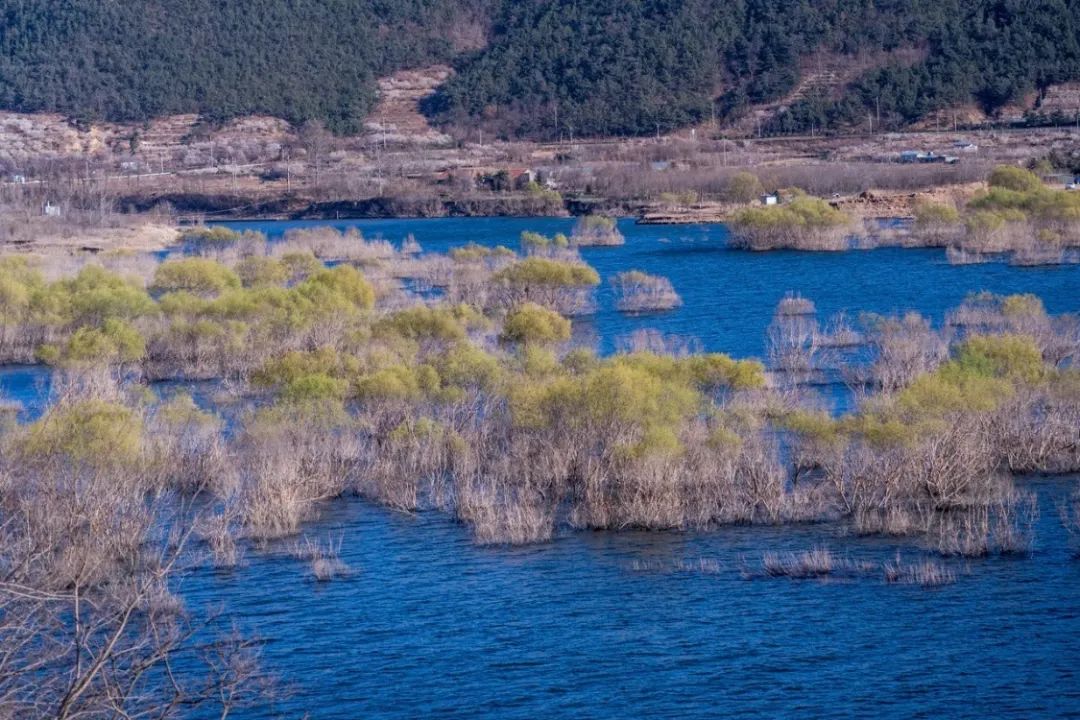 疫情快过去吧，我不想错过这座海滨老城的春天