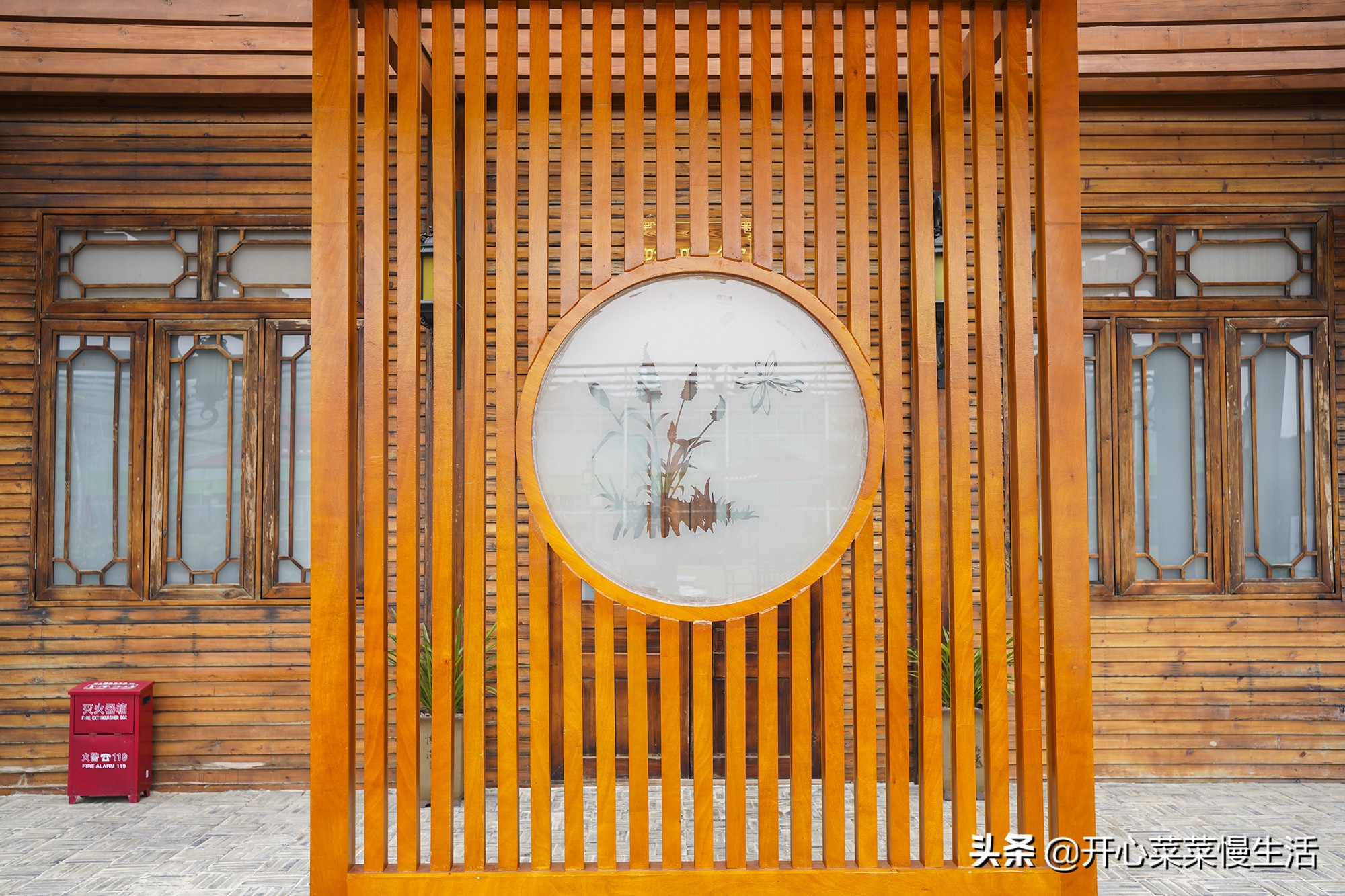 广东兰花第一县,中国最漂亮的兰花小镇