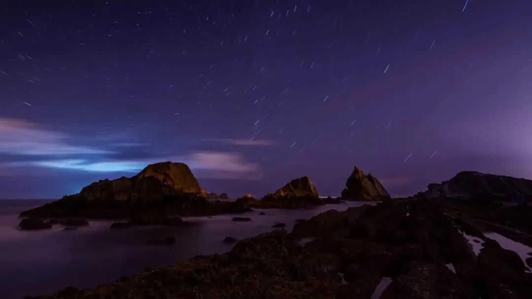 国宝大熊猫三年级下册作文范文,国宝大熊猫作文300字左右整篇