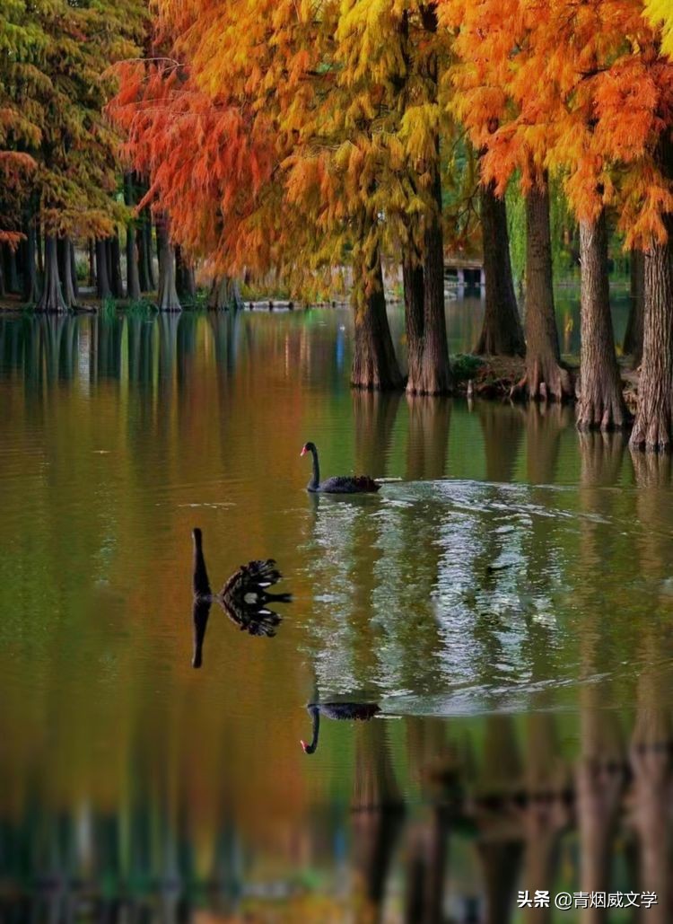 为艺术多一次曝光